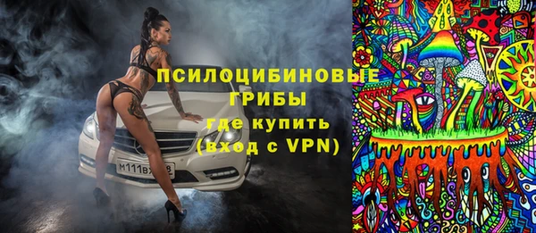 Альфа ПВП Няндома