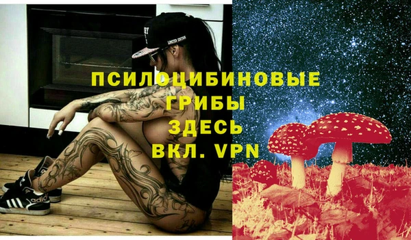 герыч Нягань