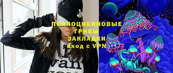 Альфа ПВП Няндома