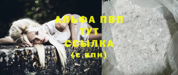 Альфа ПВП Няндома